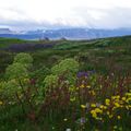 Voyage en Islande: J6 route vers ISAFJORDUR 