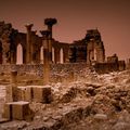 VOLUBILIS A LA TOMBEE DU JOUR