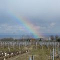 Arc - en - ciel dans le Beaujolais !