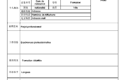 :: CURRICULUM VITAE 简历 