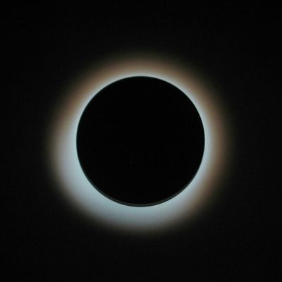 I wanna be a starshipper