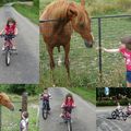 Petites promenades en vélo