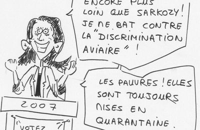 Le virus H5N1 de la grippe aviaire revient en Europe. La France a donc décidé de reprendre des mesures concernant les volailles.