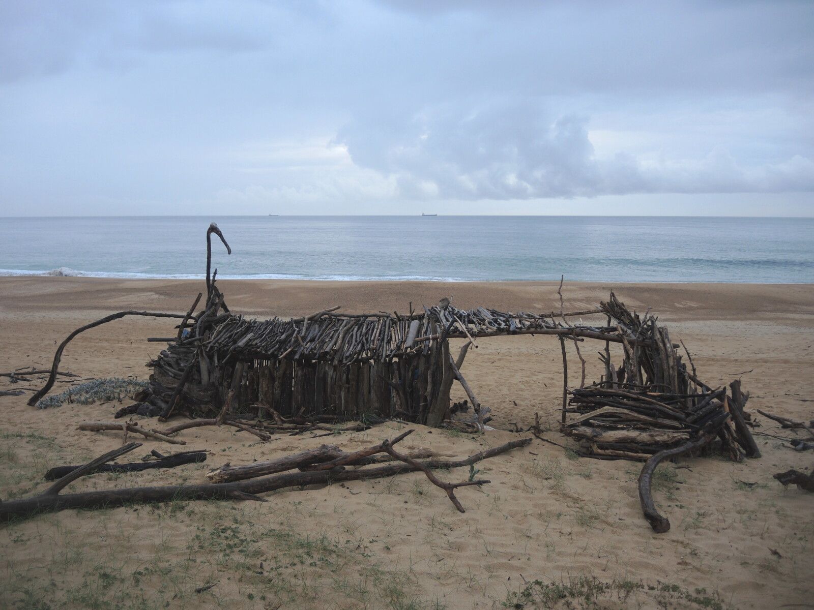 Tarnos, plage du métro, villa en bois flotté, vue océan, mars 2025 (40)