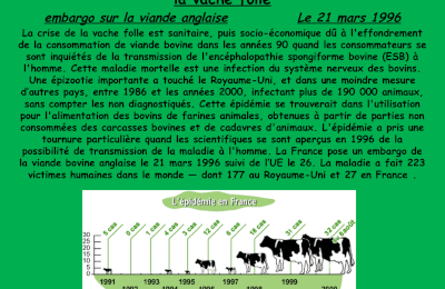 la vache folle, le 21 mars 1996