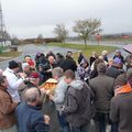 Les Violets à Dunkerque - 1 