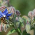 Françoise et son monde: la nature