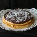 Gâteau au lait de coco et fromage frais, glaçage chocolat