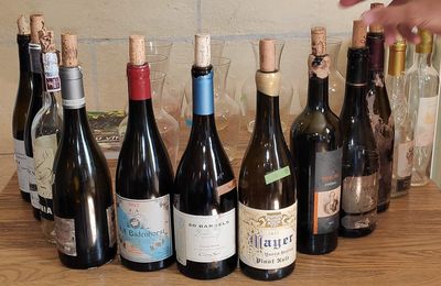 Dégustation à l'aveugle de 12 vins sélectionnés à partir du livre de Jacques Fanet : Terroirs du Vin : deuxième partie