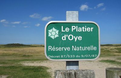 CARNET DE VOYAGE - Le Platier d'Oye