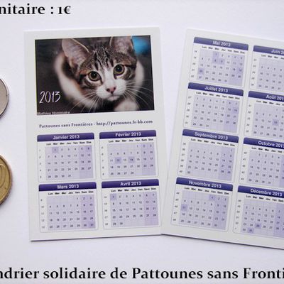 Opération « 1000 Calendriers 2013″