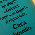 l'indispensable Caca Boudin***