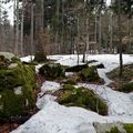 [Drôme] reprendre un peu d'hiver... 