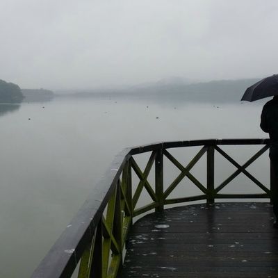 Gris du ciel, gris du coeur (2011)