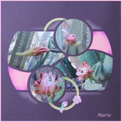 Le jardin page 3 et 4