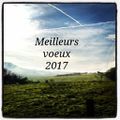 Meilleurs voeux 2017