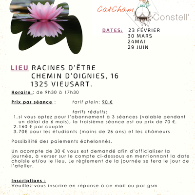 Journées constellations à Vieusart (Louvain La Neuve)