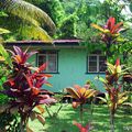 Hitia - Tahiti /Bougainville