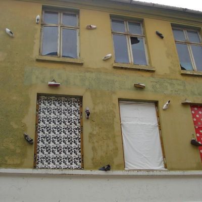 LA MAISON D UN MILLE PATTE?