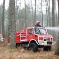 Feu de forêt