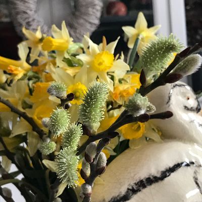 BIENTÔT LE PRINTEMPS