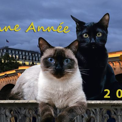 Bonne année 2026