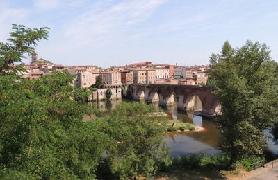 Albi