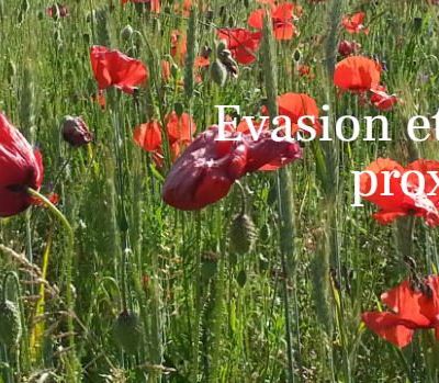 Accéder au nouveau blog en cliquant sur l'image