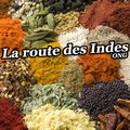 La route des Indes par Bernard Lugan