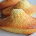 Madeleines de tricot-thé