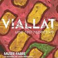 Claude Viallat - Musée Fabre 