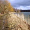 Petite promenade au bord de l'étang