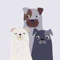 ECHANGE ATC "ANIMAUX DE COMPAGNIE" (merci de lire jusqu'au bout!)