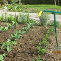 un outil de jardinage le" rotogrif 4 dents" TIPTOP 