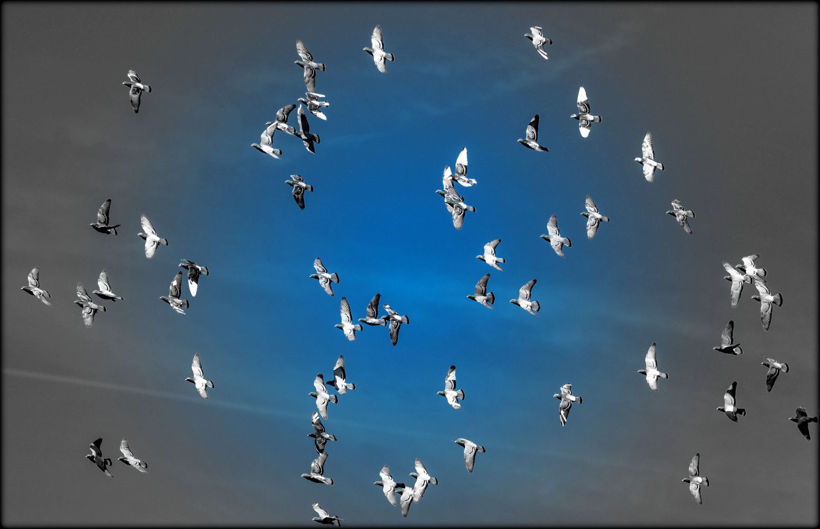 JOEL GRENIER, CIEL, OISEAUX, DANSE, NUAGES