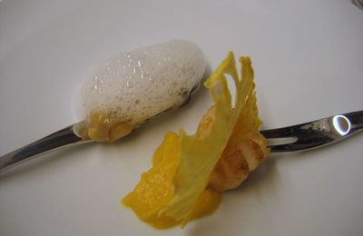 XY by Guy Degrenne à l'occasion d'un dîner moléculaire