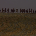 Héros ou Salopards ('Breaker' Morant) (1980) de Bruce Beresford