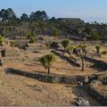 Les ruines de Cantona