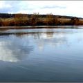 Reflets sur la seine 