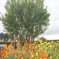 Matin de Printemps. Poème Joël