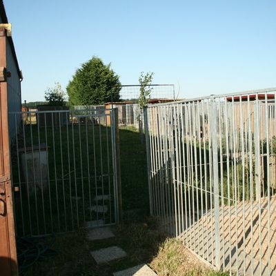 Angers une garde pour chiens et chats en famille offre enfin une alternative aux chenils et pensions pour animaux