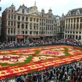 Thảm hoa ở Bruxelles 