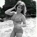 MICHELE CAREY