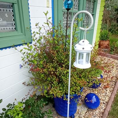 Le jardin a soif