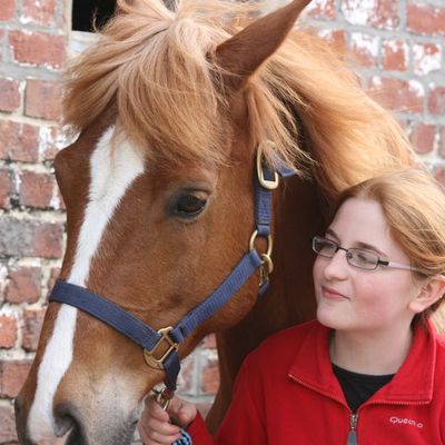 Ensemble, on sera faire tout!