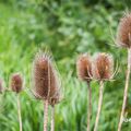 Printemps en Lot et Garonne