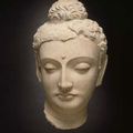 "Reflections of the Buddha" @Pulitzer Foundation for the Arts