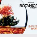 NEWLETTER   BOTANICALS  INFUSION RICHESSE