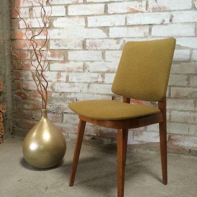 Chaise scandinave Pierre Guariche Jaune moutarde