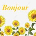 Fleurs de soleil